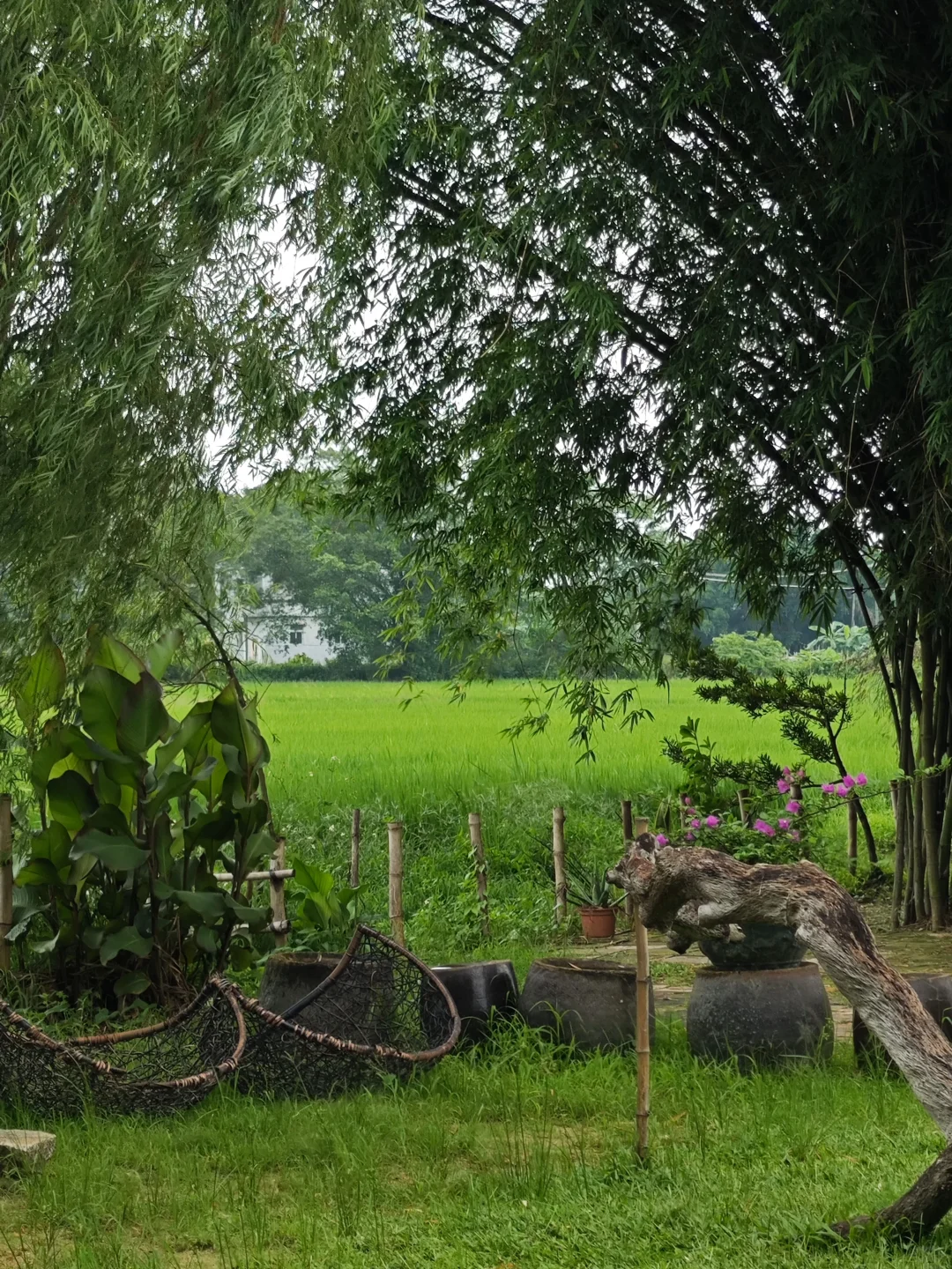 到江门必打卡的5A级景区!!!