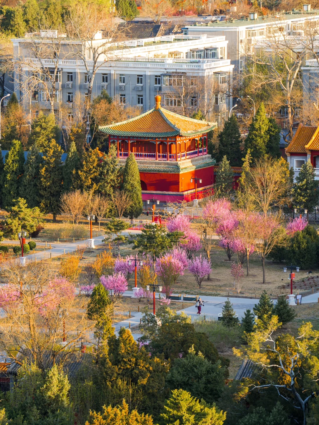 这可能是我在北京,花的最值的两元钱…