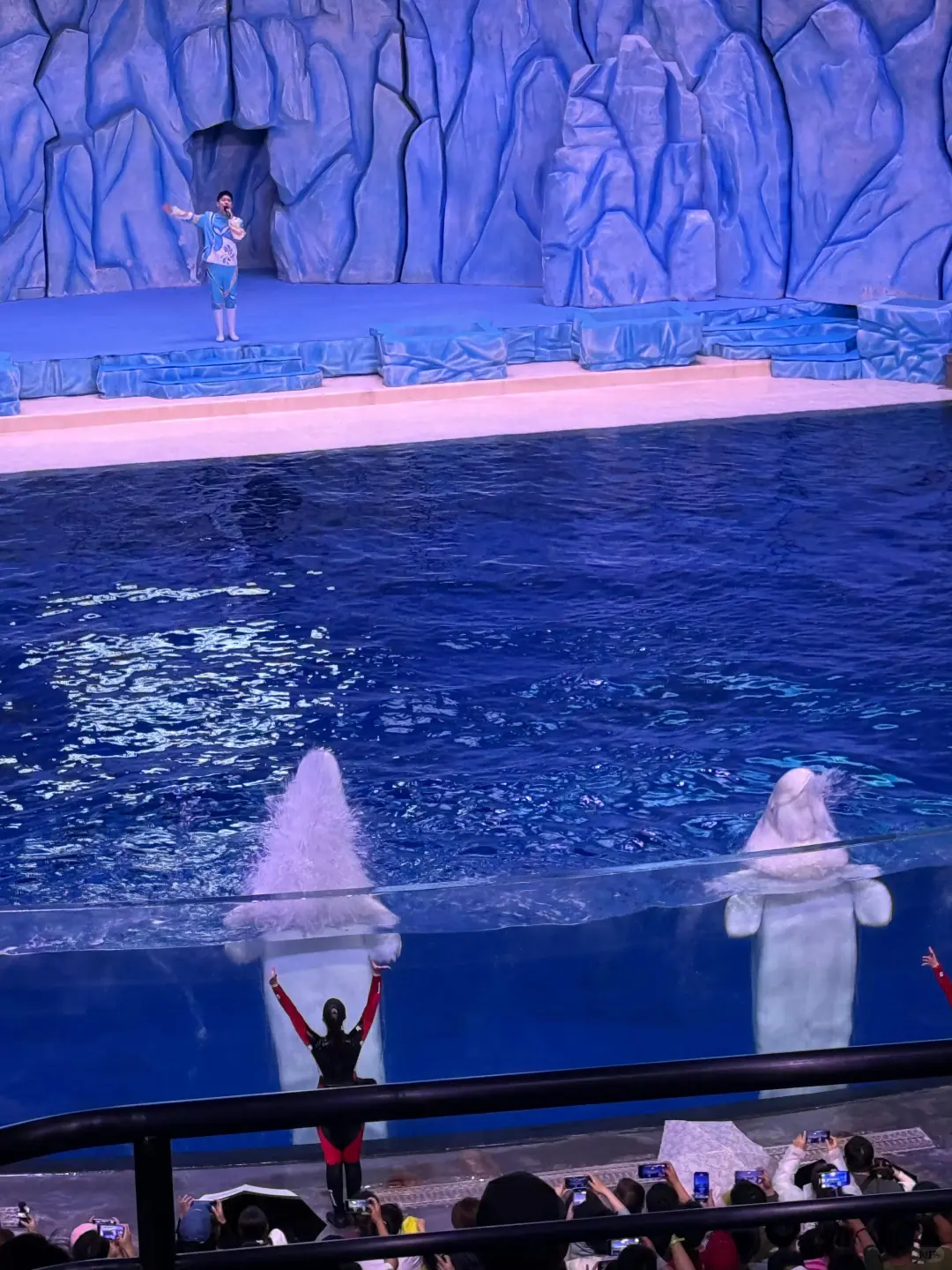 珠海长隆攻略 超详细版