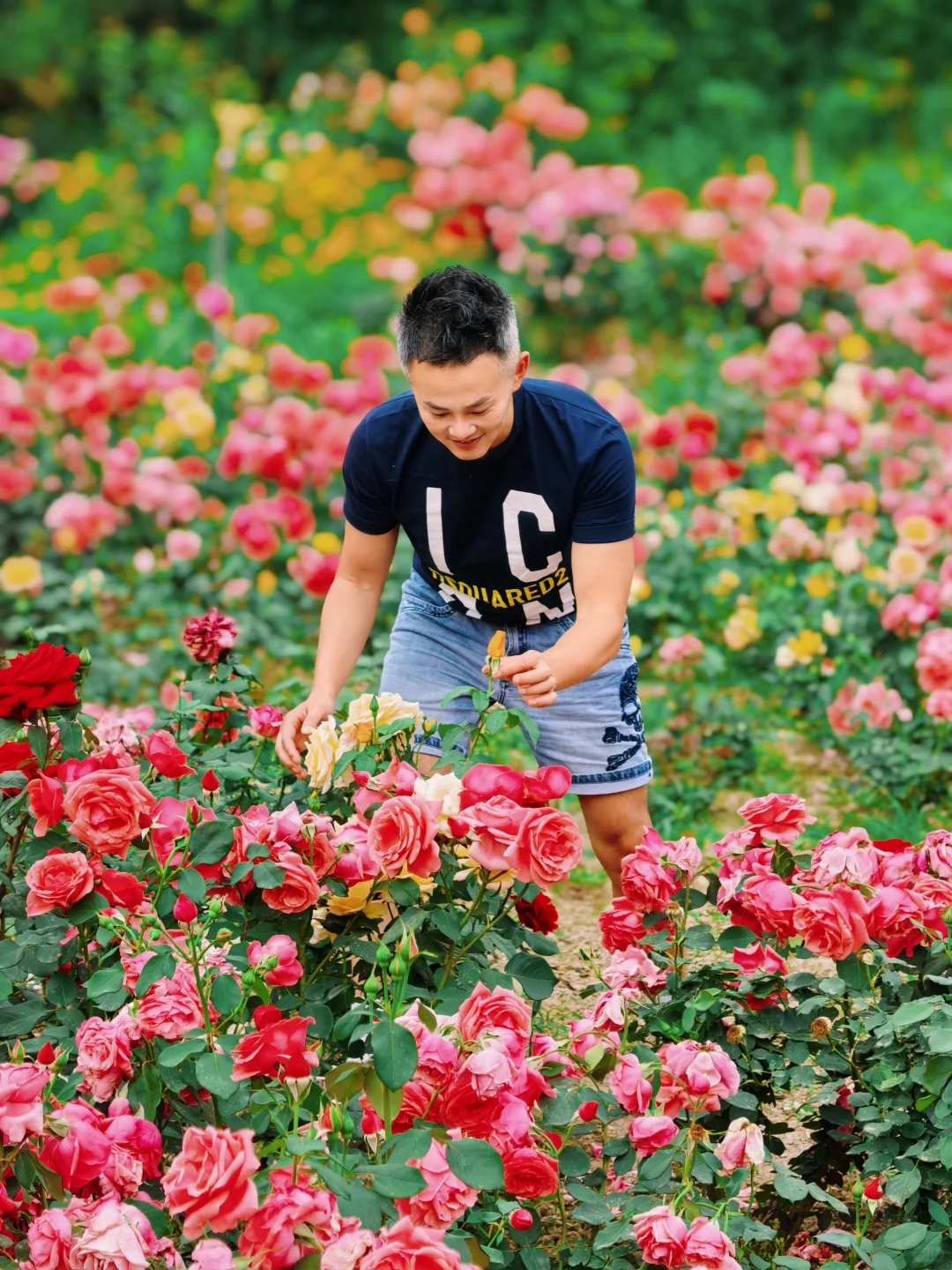 房山惊现猫狗双全的治愈咖啡屋🐈🐩速冲
