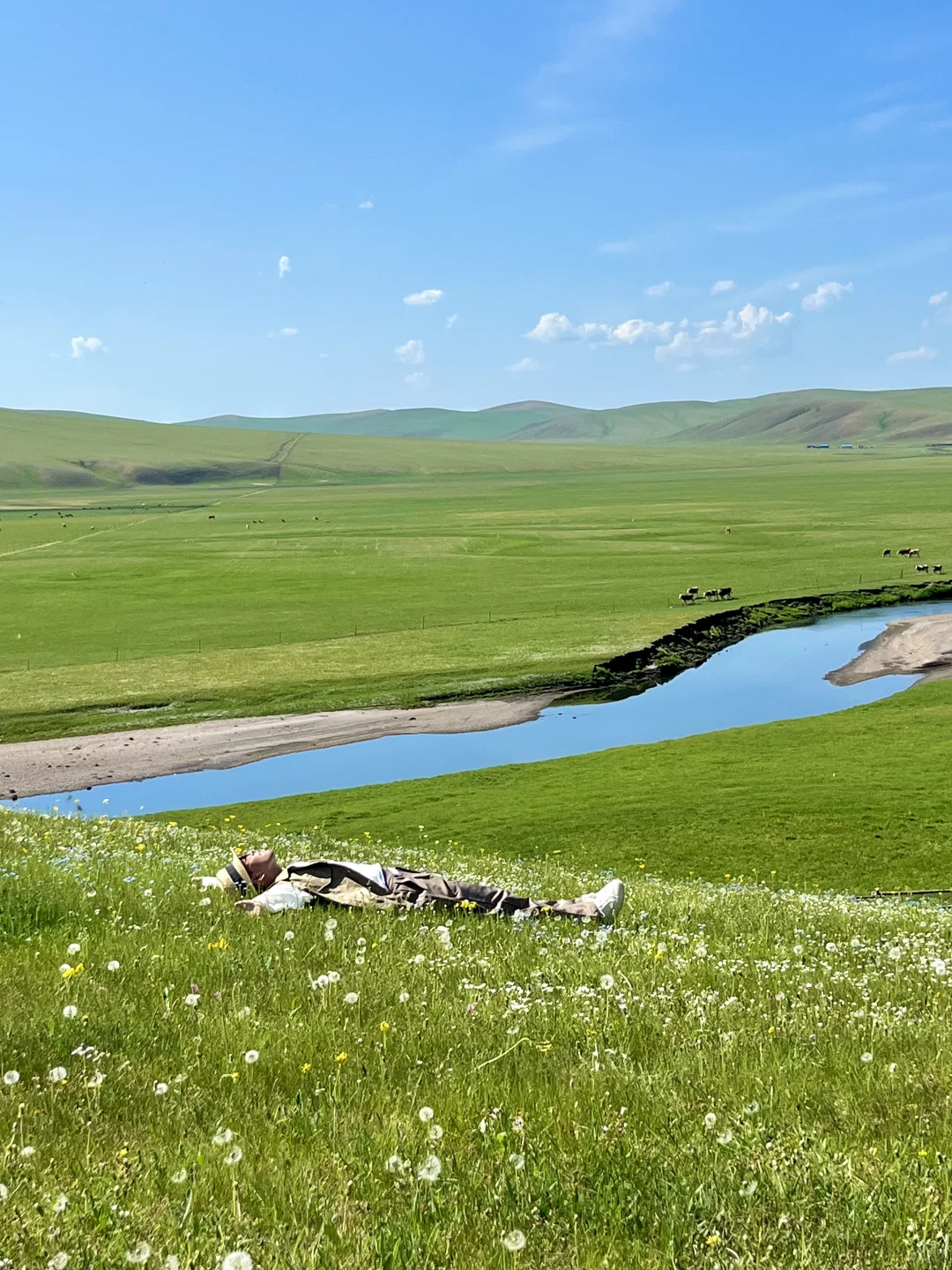 去了呼伦湖，你就知道大草原的含金量了！
