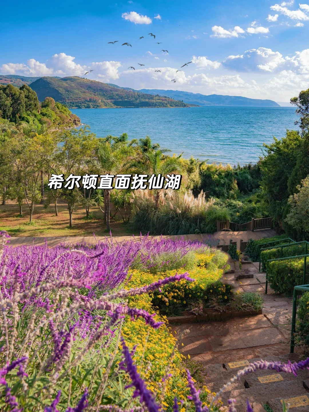 放弃大理了，暑假冲22°C的弥勒，人少景还美！