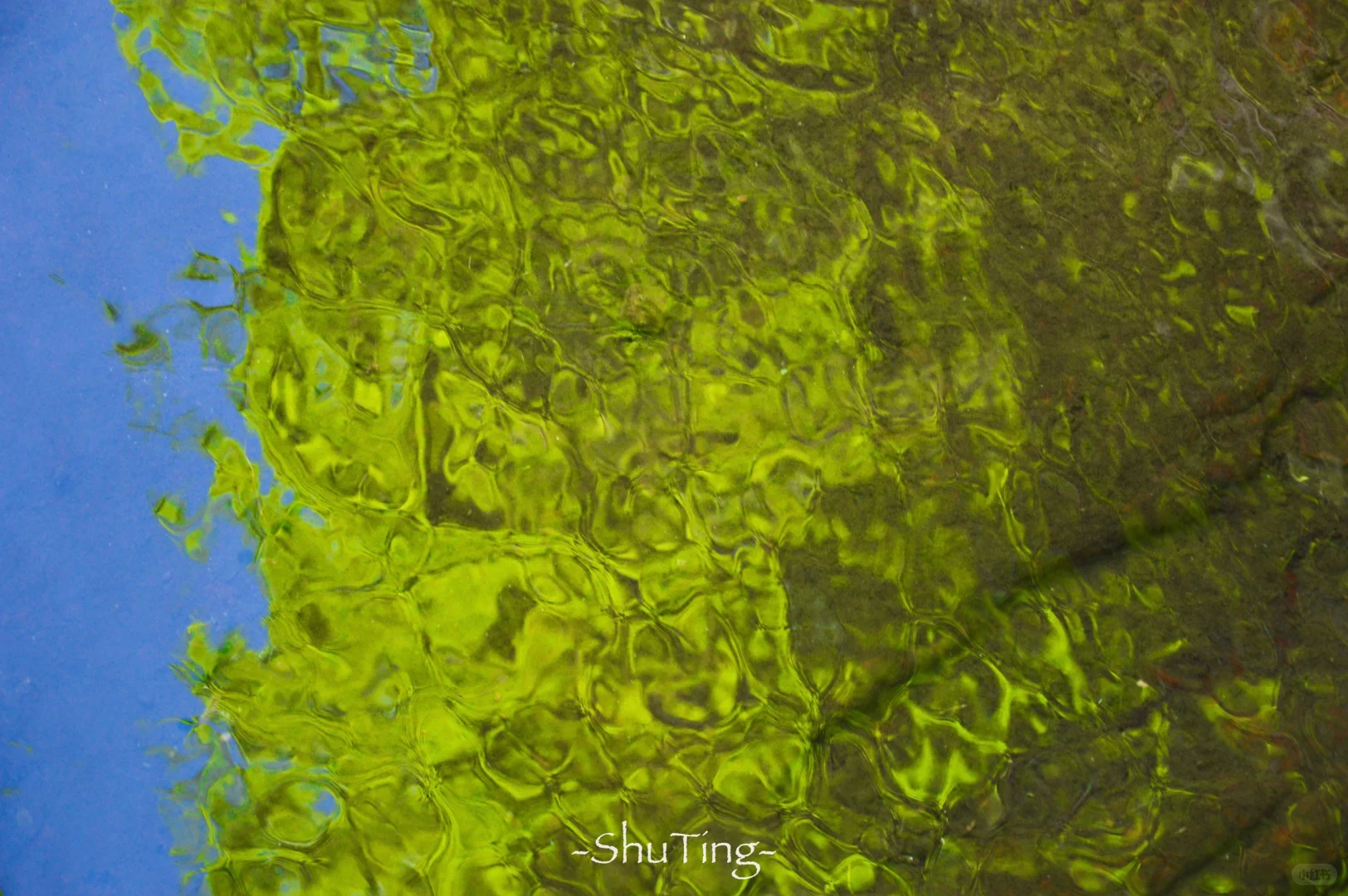 🟢喜欢那一抹流动的绿🍃邯郸七步沟美到失语