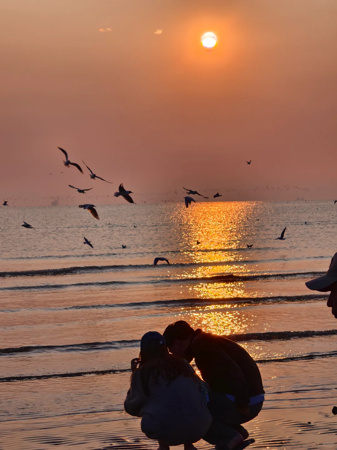 一篇说清楚天津-秦皇岛-阿那亚怎么玩儿📝