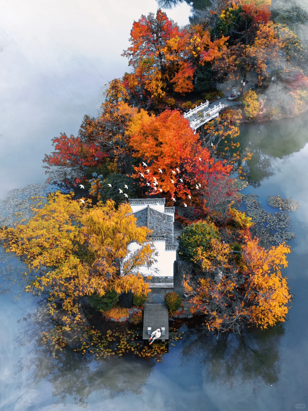 迄今为止，安徽我最喜欢的避世小镇出现了‼️