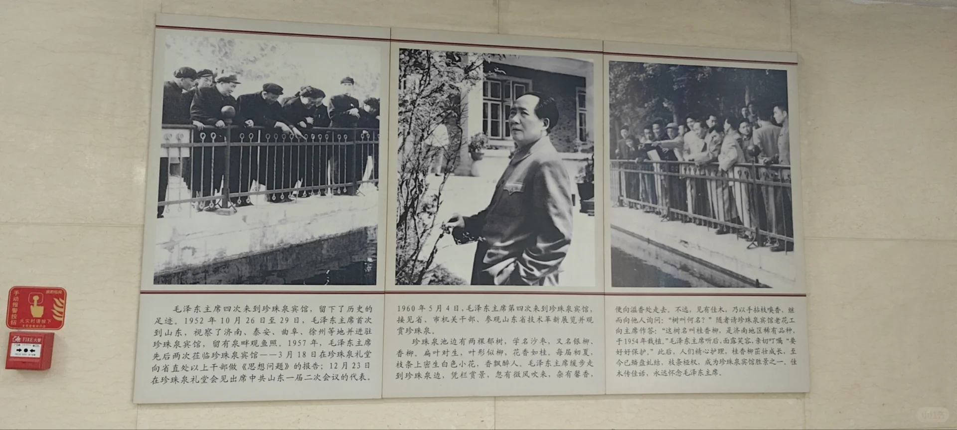 珍珠泉的气场真好