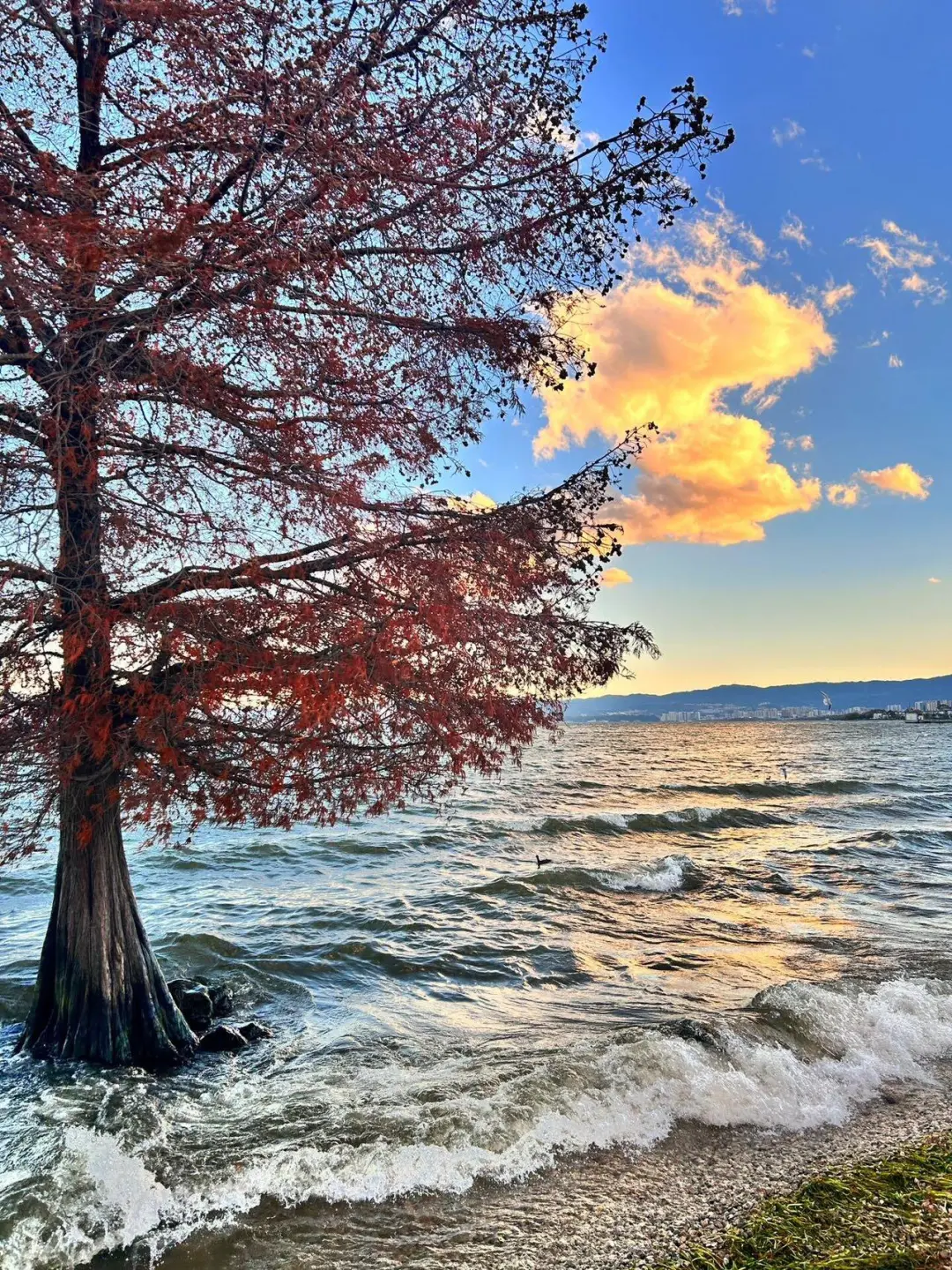 📍5.26大理已回。。我真的😭崩溃了……