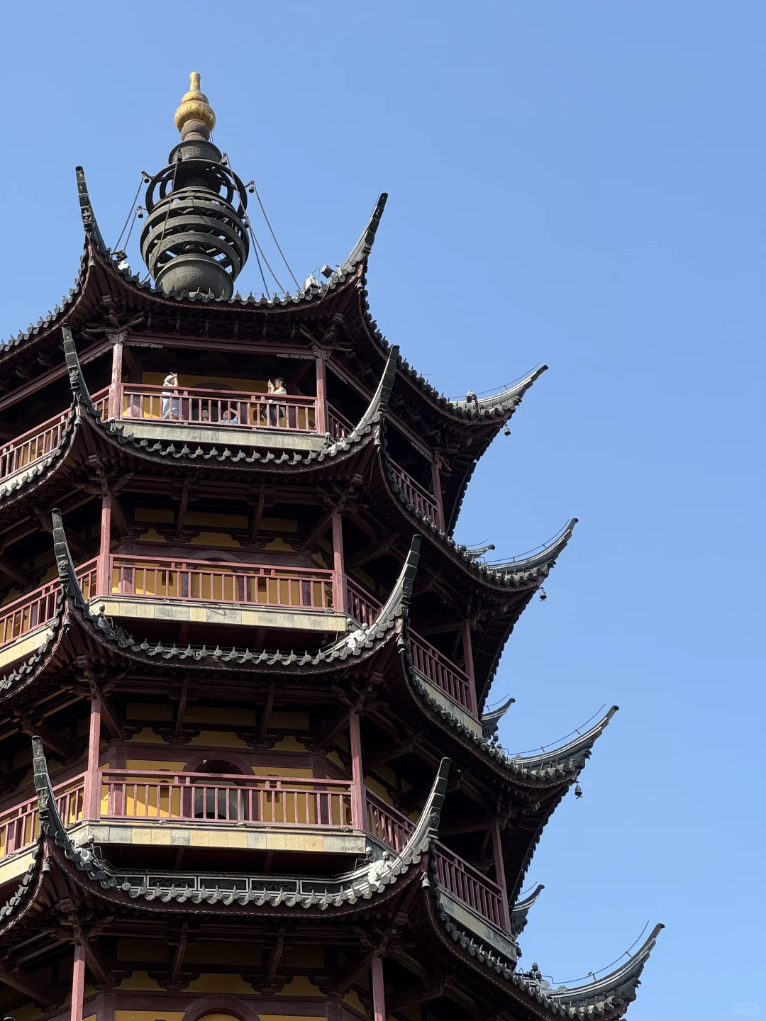 💖五一必去 | 常州红梅公园，美到犯规啦🎉