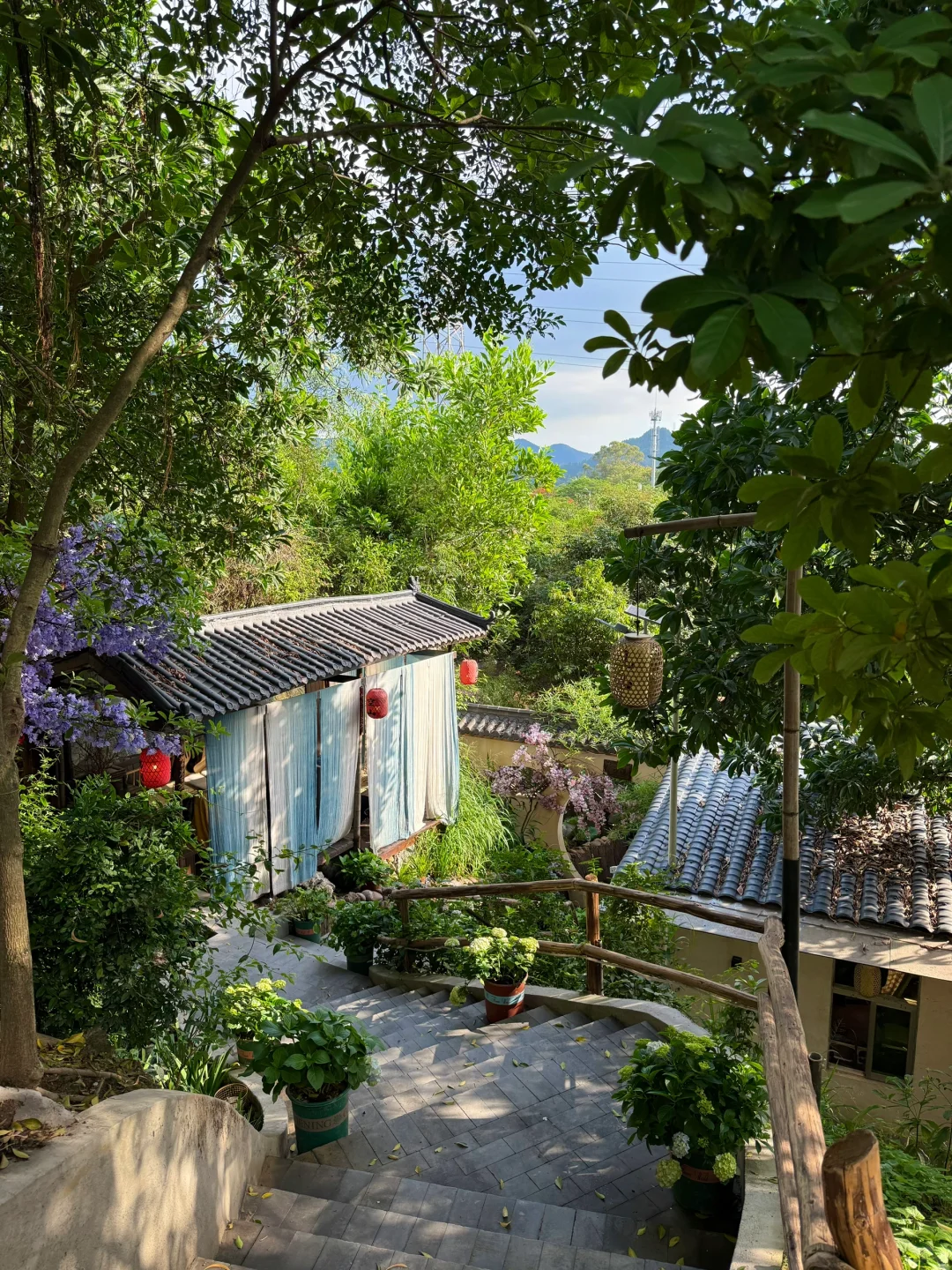 深圳新开的！！依山傍水的林间小院（live图）