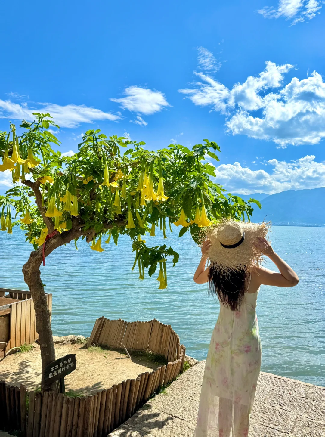 为了这18张图,特意飞了一次云南…