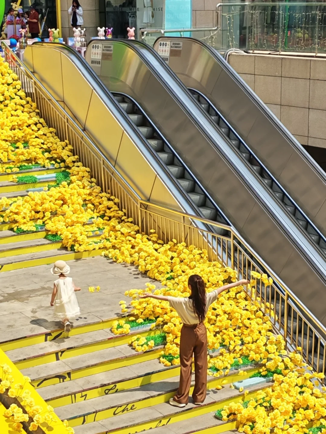 ²⁰²⁵/₀₅.₂₅ 💛 明媚而浪漫的黄玫瑰