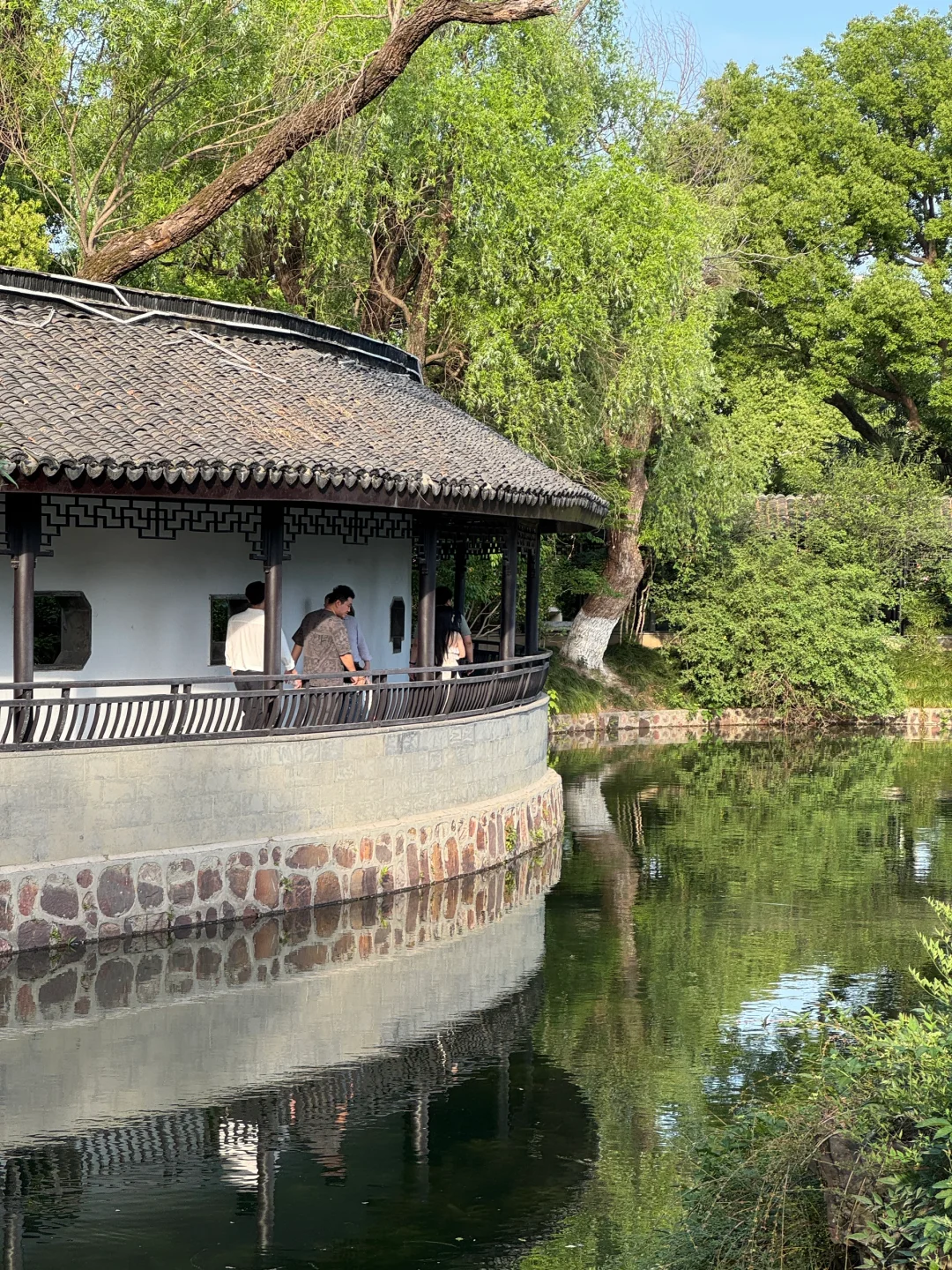 💖五一必去 | 常州红梅公园，美到犯规啦🎉