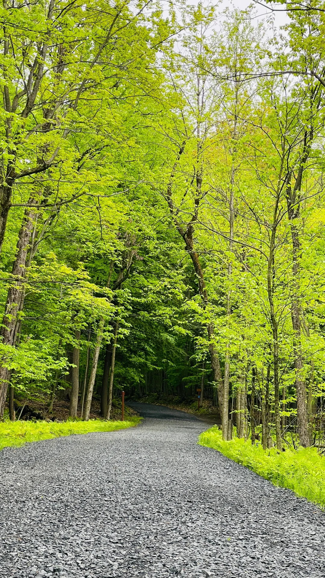 今天游览了Mont St Bruno Natinal parc