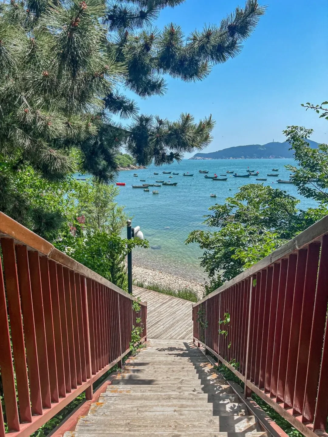 为了拍这组照片,我专门跑去了威海!🌴