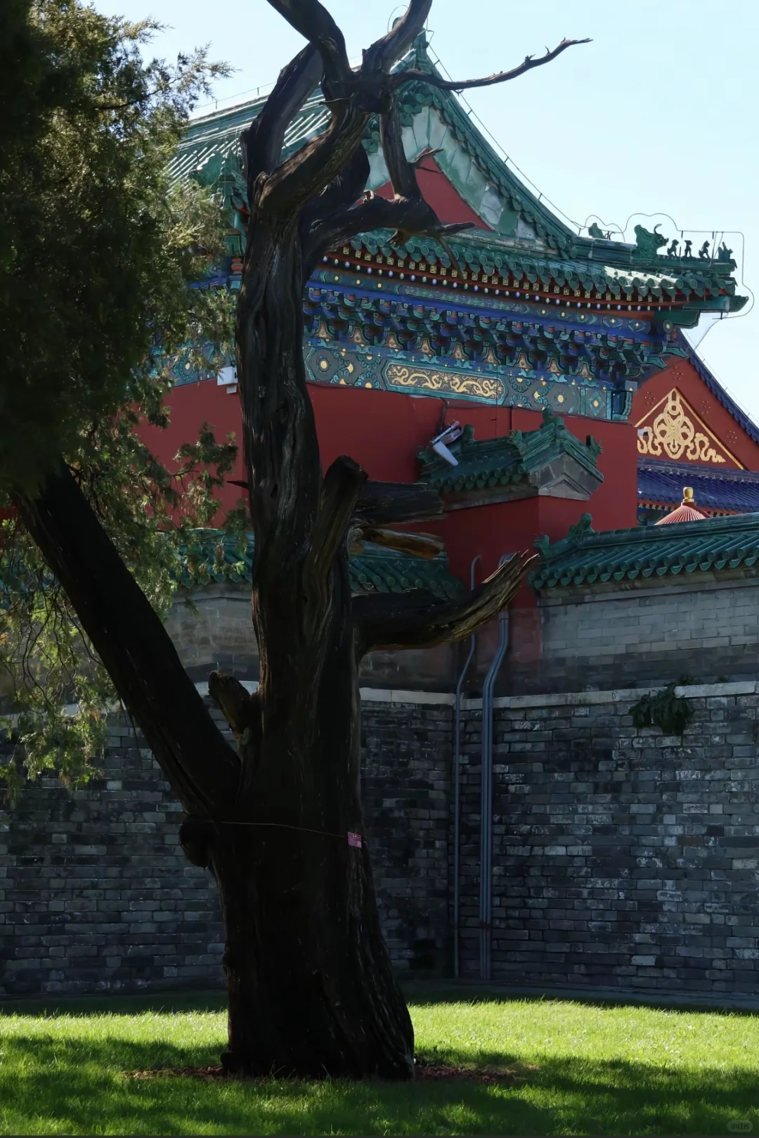 总要去趟天坛吧，感受穿越600年的震撼✨