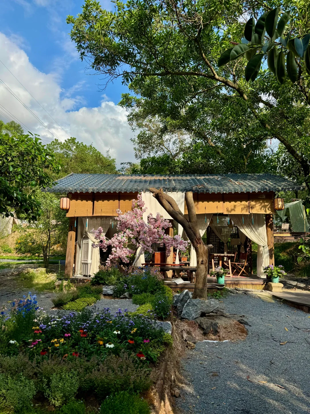 深圳新开的！！依山傍水的林间小院（live图）