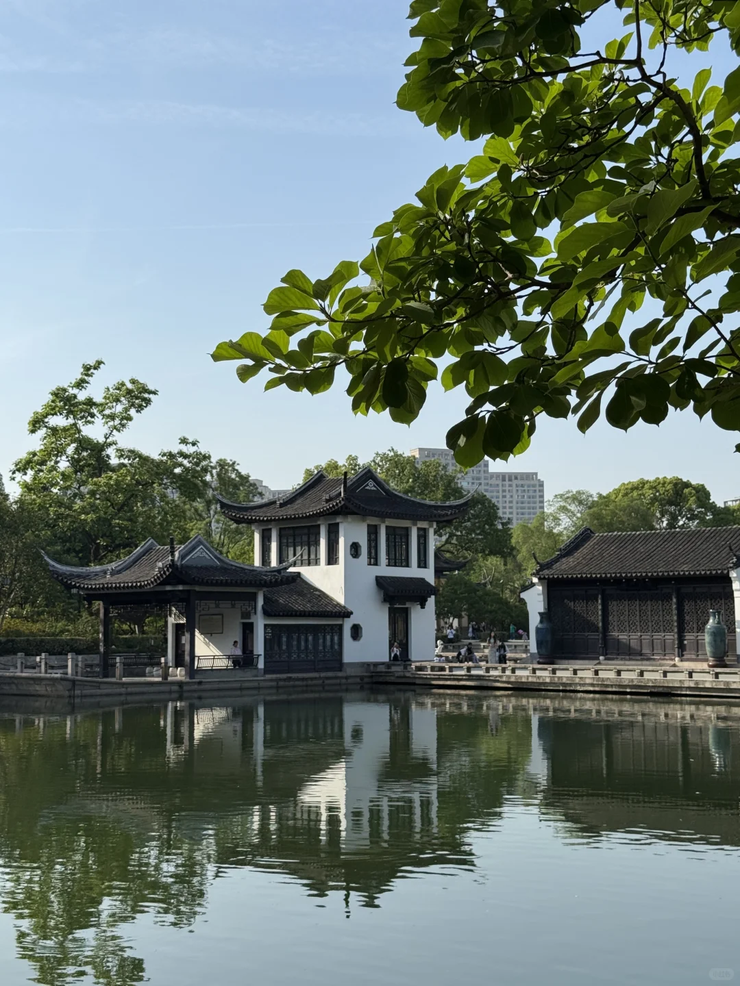 💖五一必去 | 常州红梅公园，美到犯规啦🎉