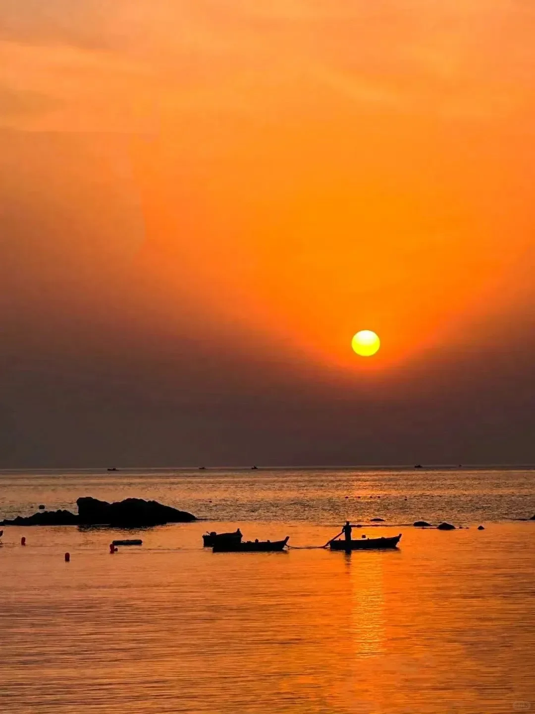 为了拍这组照片,我专门跑去了威海!🌴
