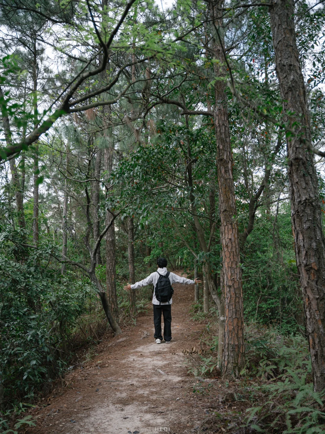 迄今为止，我最喜欢的夏日海边城市出现了…