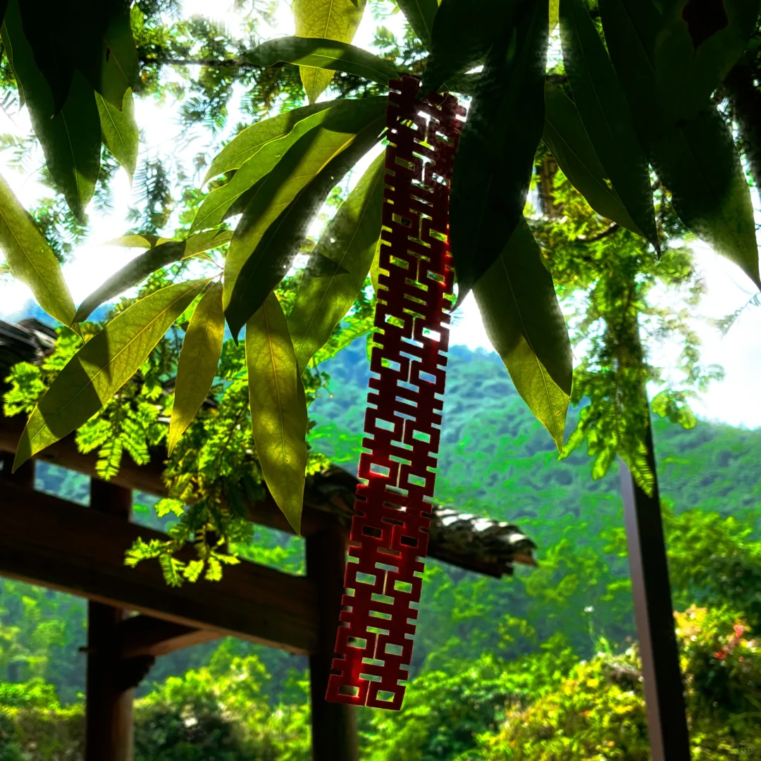 发现了！藏在山里的小众景点！🍃