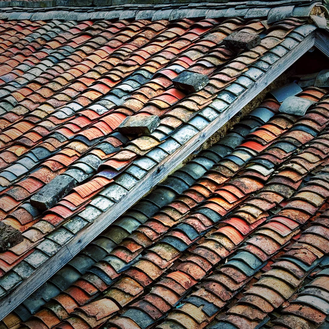 发现了！藏在山里的小众景点！🍃