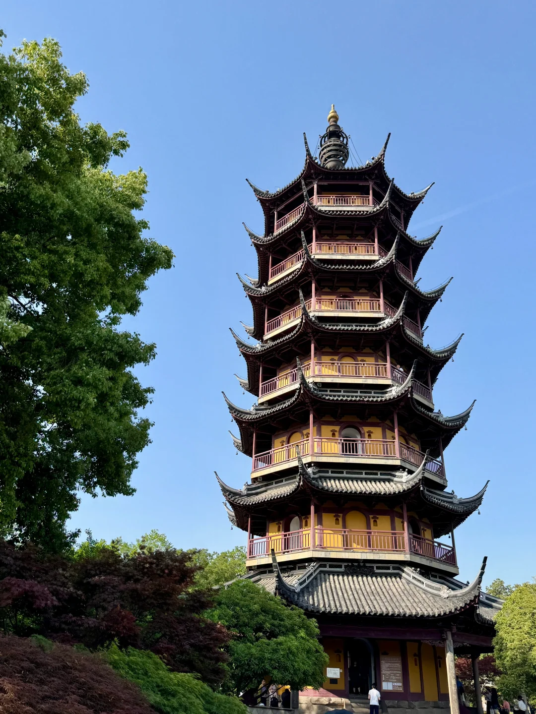 💖五一必去 | 常州红梅公园，美到犯规啦🎉