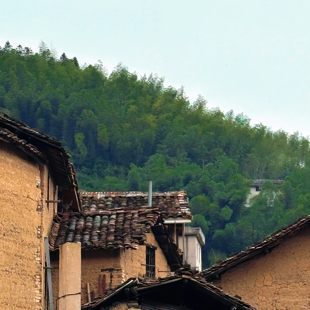 发现了！藏在山里的小众景点！🍃