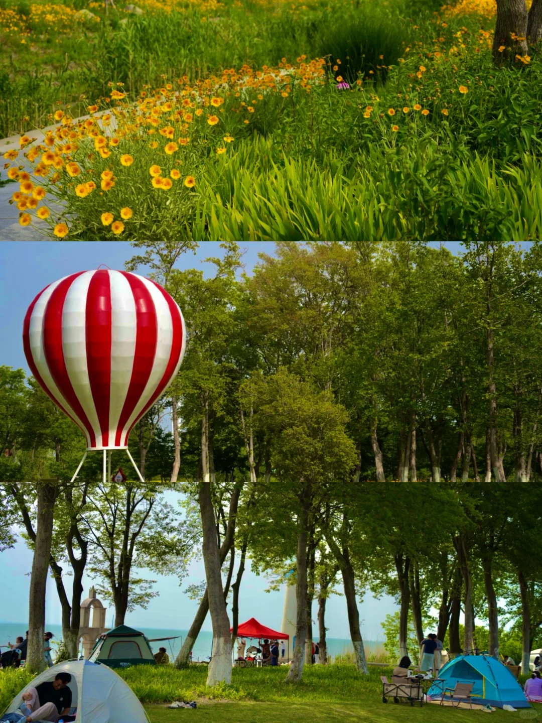 迄今为止❗️最爱的小众“海滨城市”出现了…