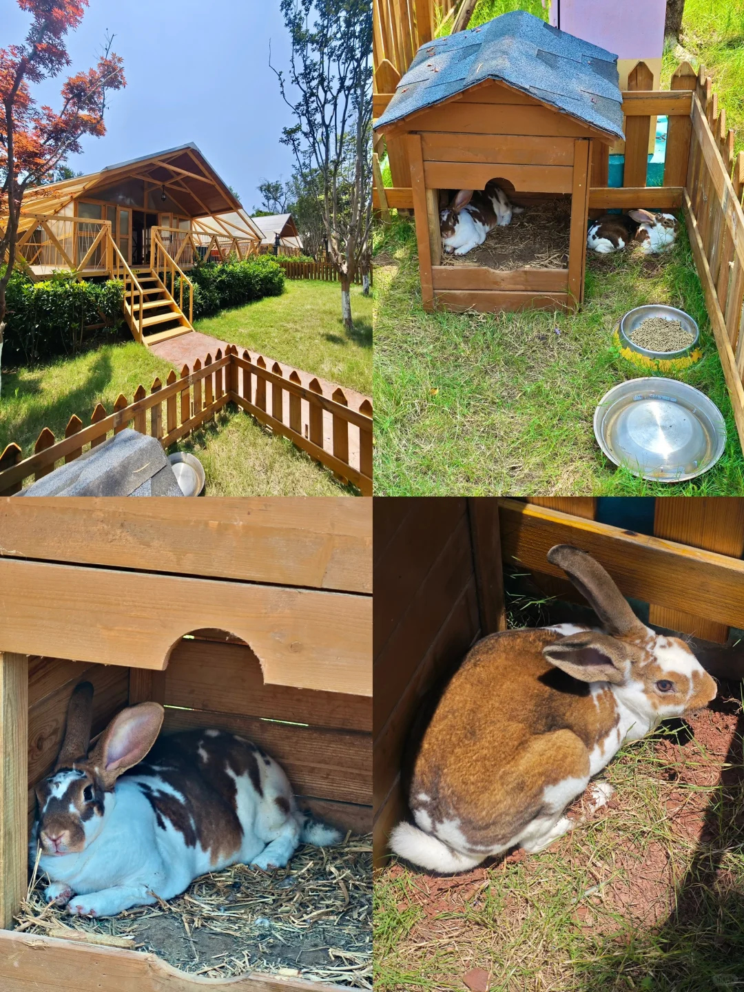 李庄古镇真实体验！看完再决定值不值得去！