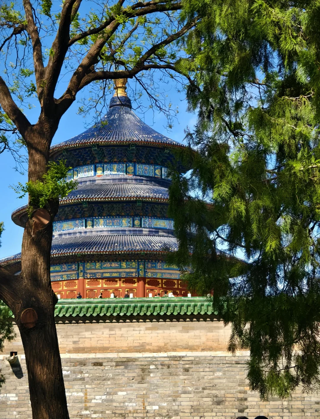 总要去趟天坛吧，感受穿越600年的震撼✨