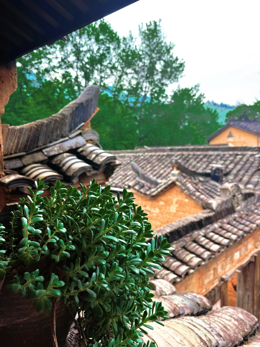 发现了！藏在山里的小众景点！🍃