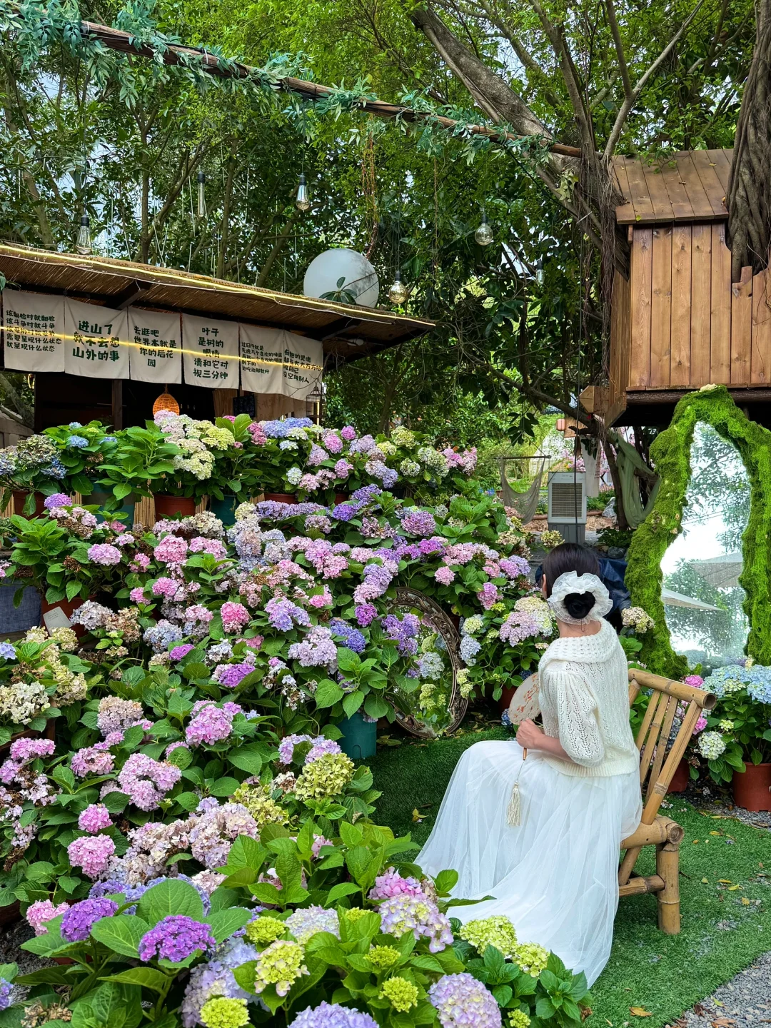 深圳新开的！！依山傍水的林间小院（live图）