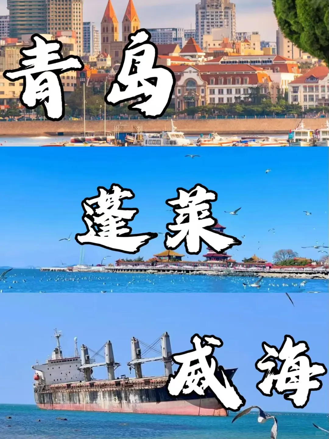 📍青岛旅游❗️吃住行省钱攻略✨人均1k纯玩🥰