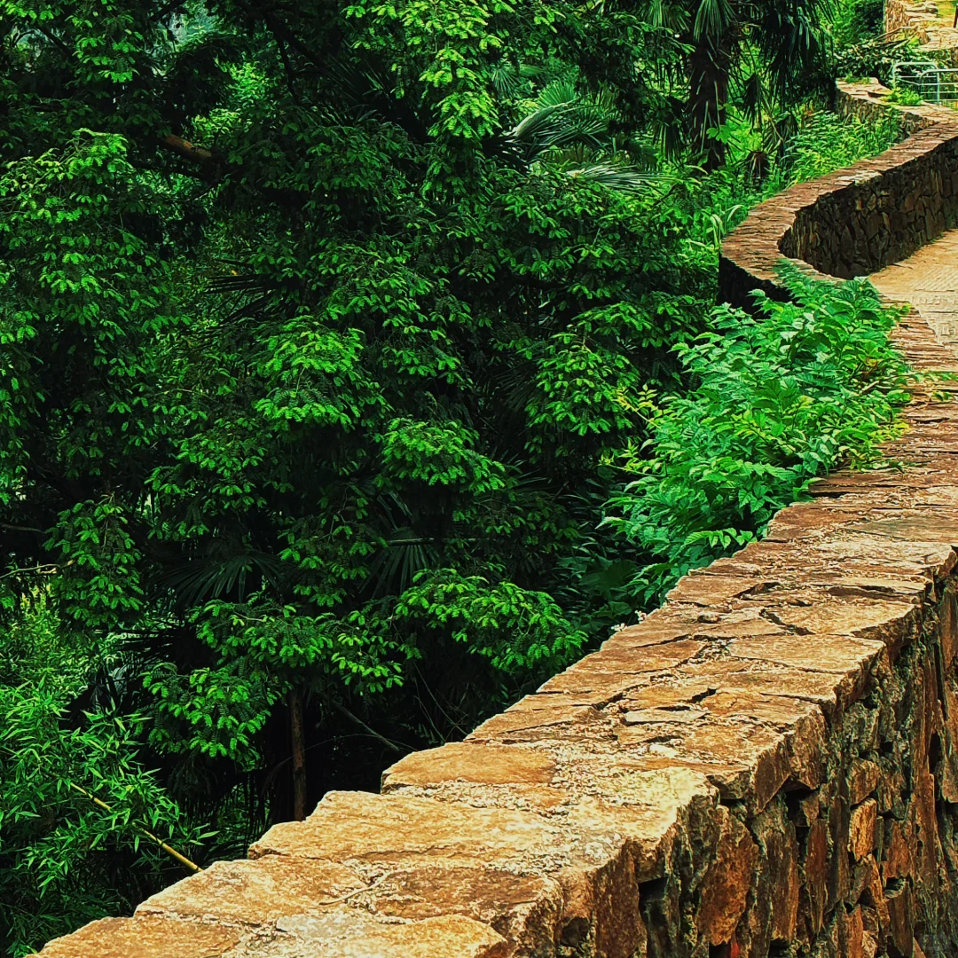 发现了！藏在山里的小众景点！🍃