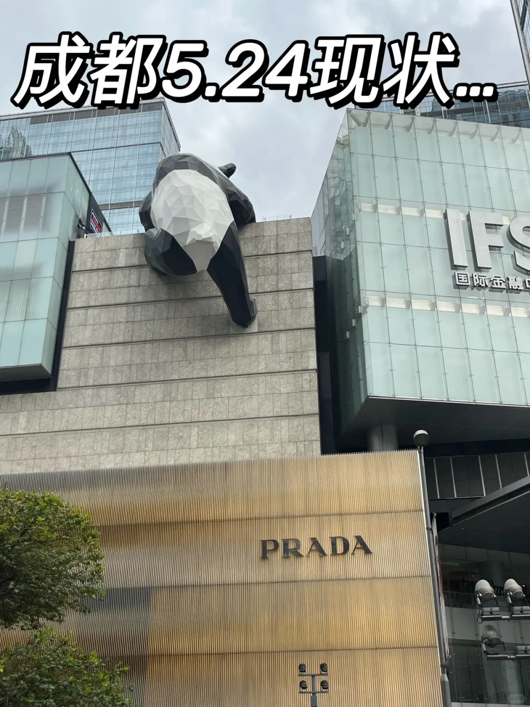 成都旅游后，我想说一些大实话。。。求求