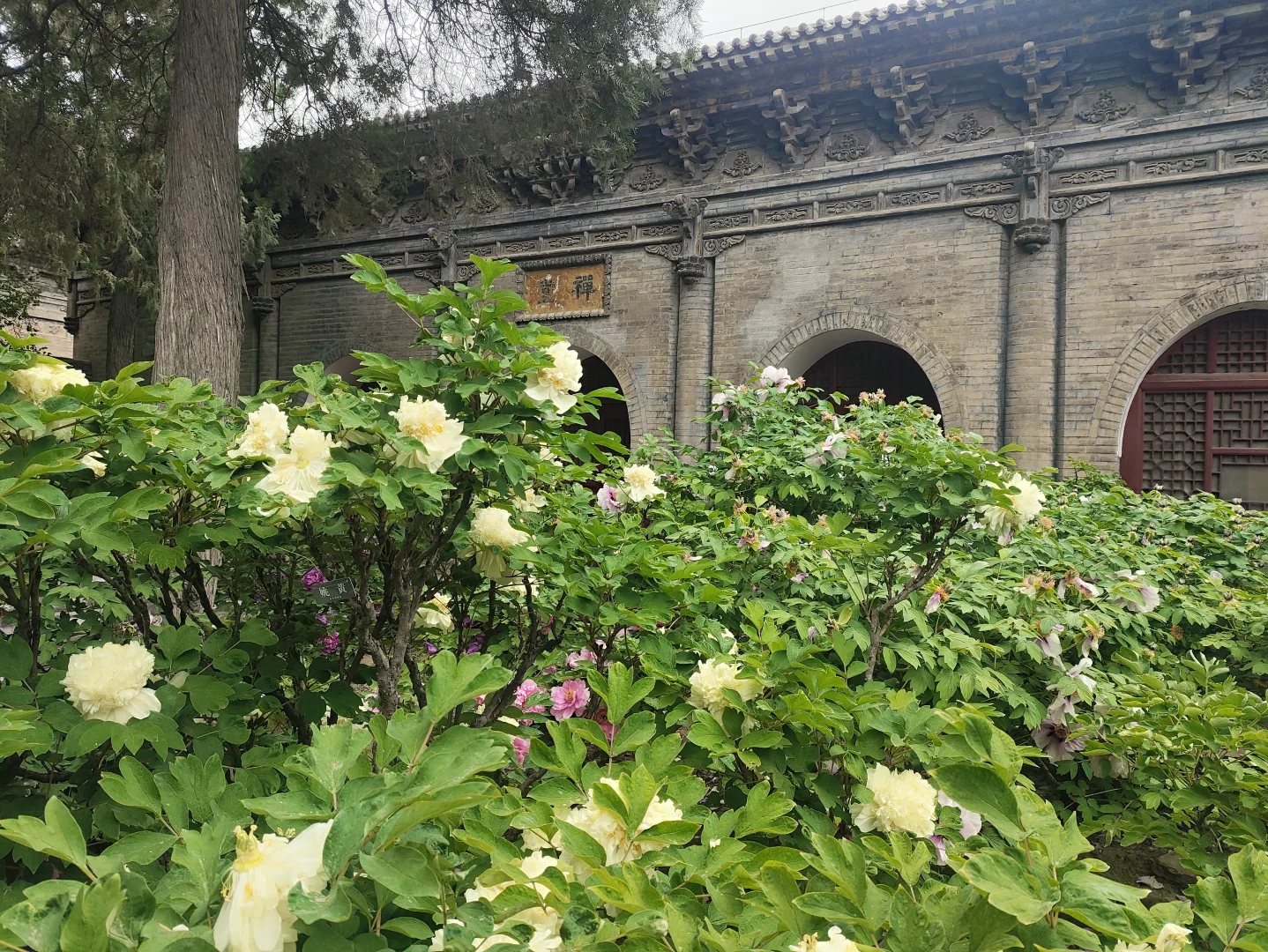 27岁|开始享受一个人独自出门旅行啦