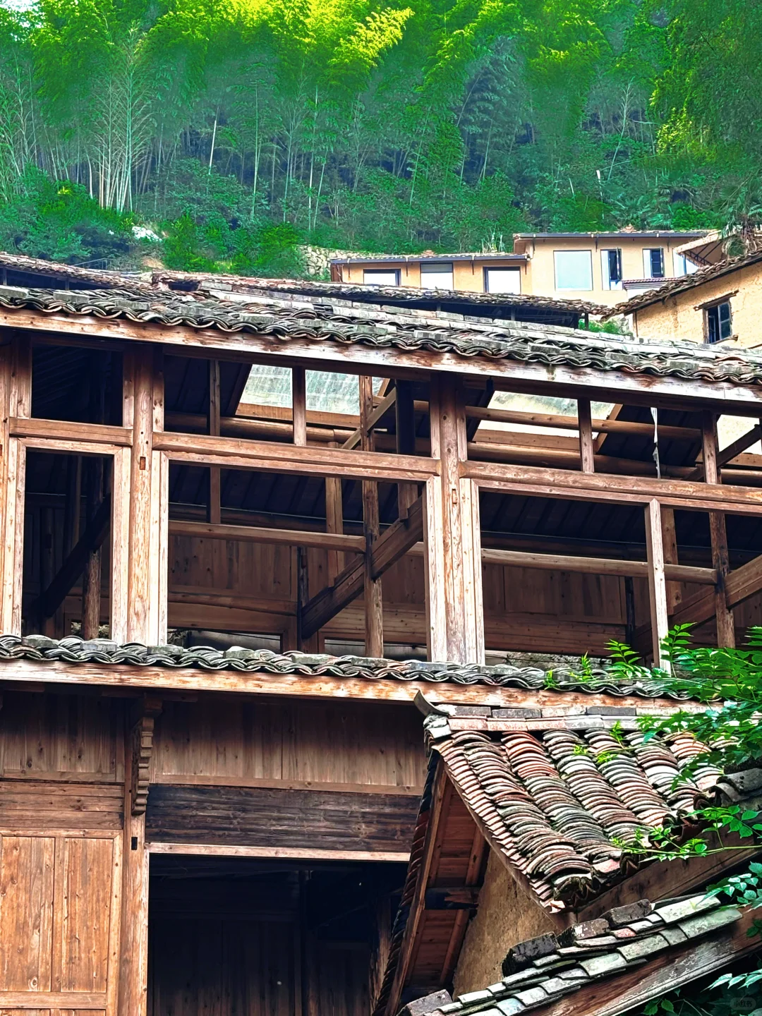 发现了！藏在山里的小众景点！🍃