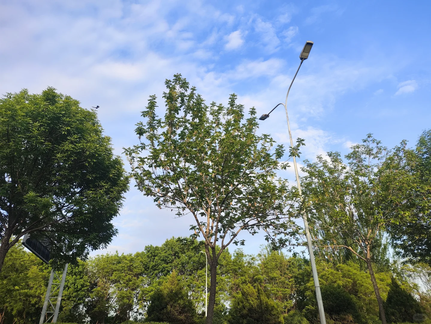 27岁|开始享受一个人独自出门旅行啦