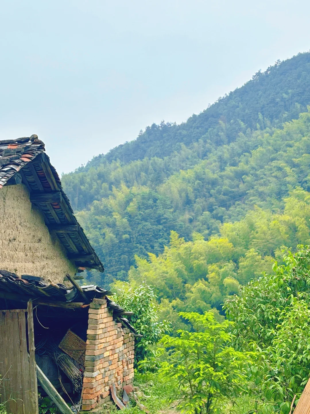 发现了！藏在山里的小众景点！🍃