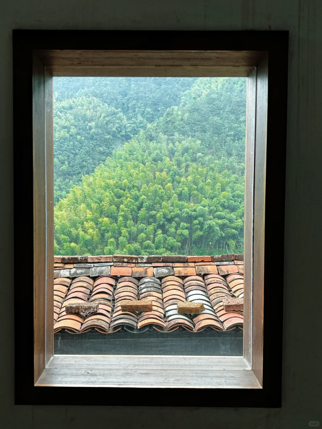 发现了！藏在山里的小众景点！🍃