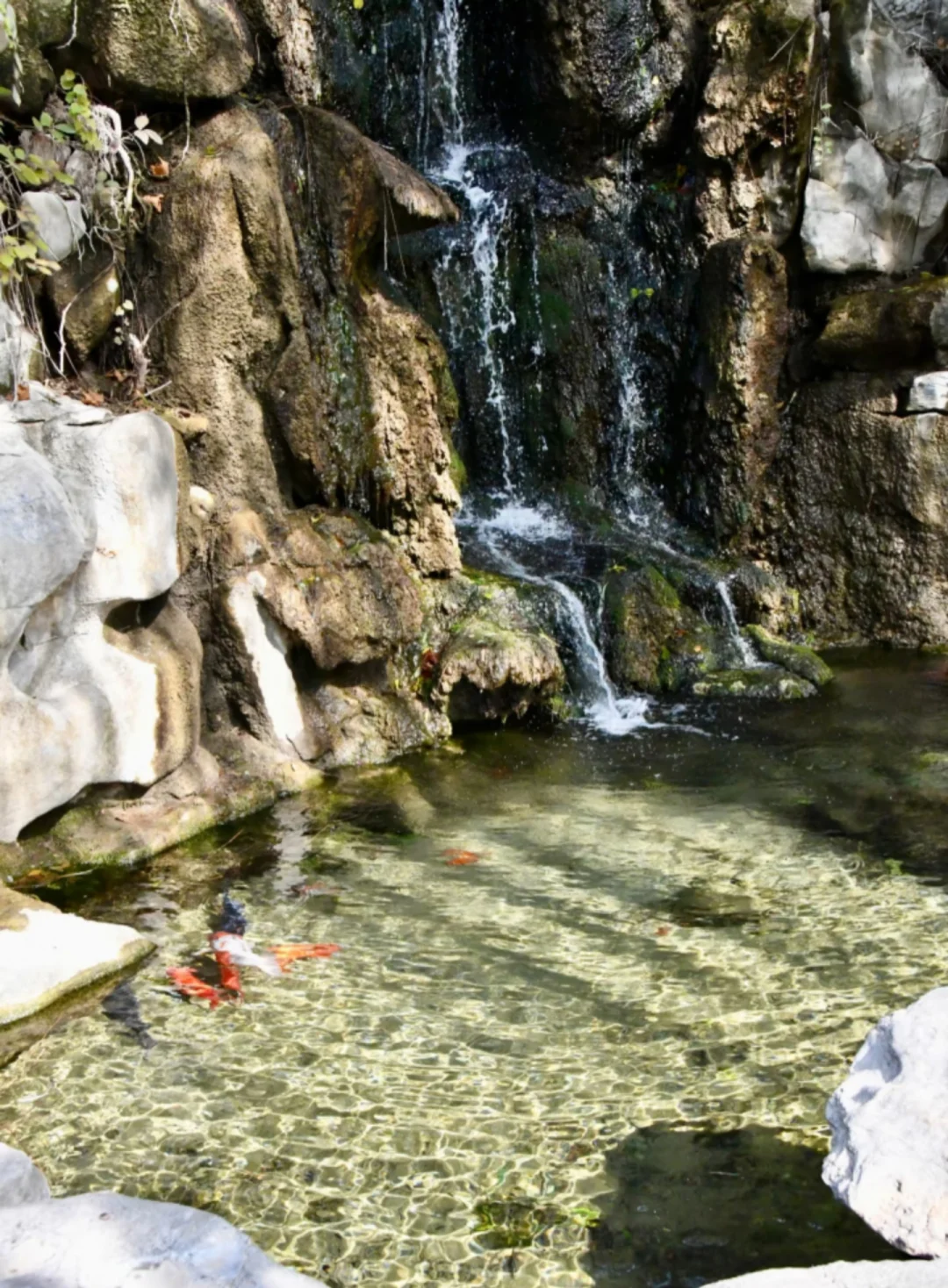 珍珠泉的气场真好