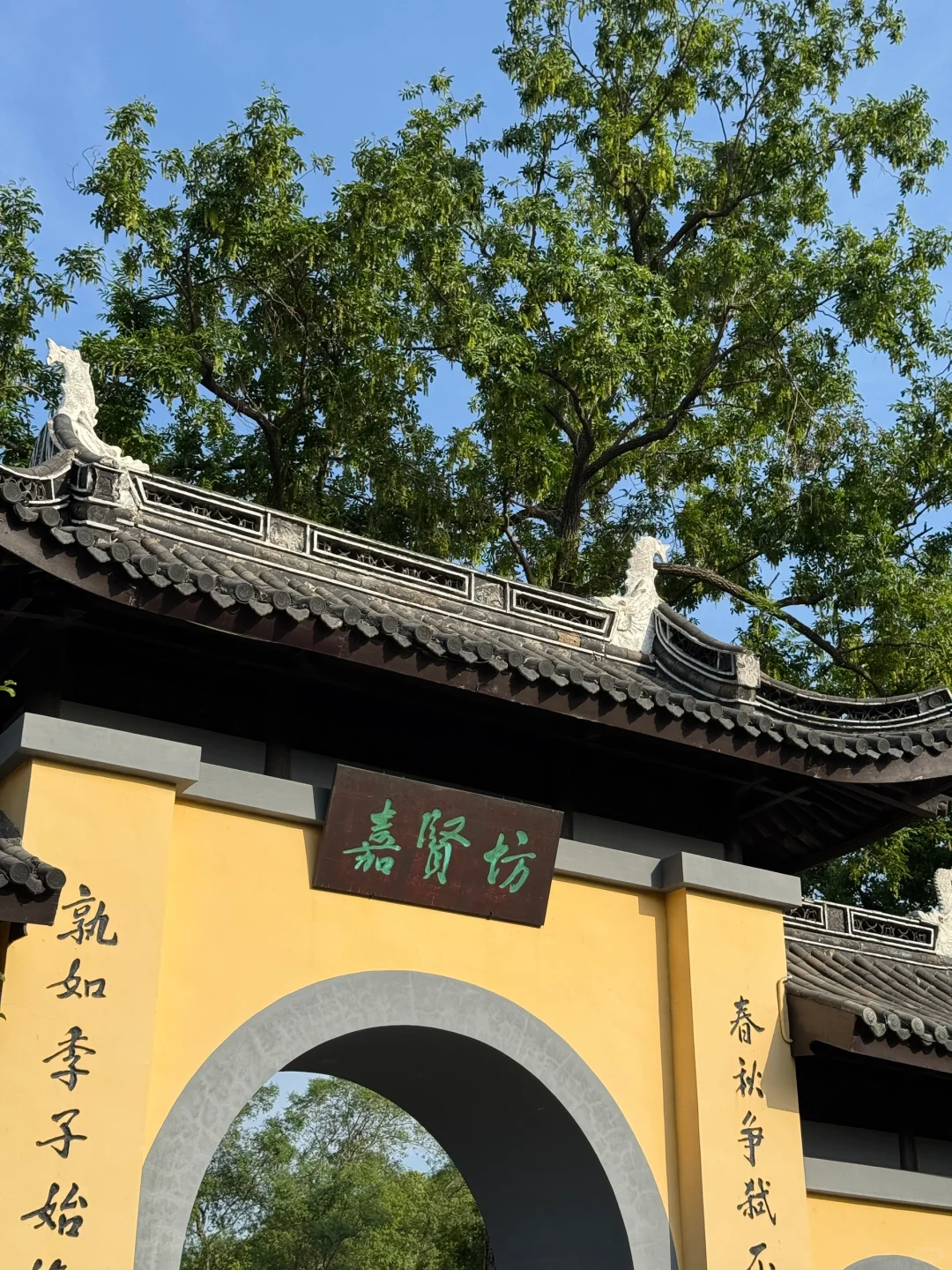 💖五一必去 | 常州红梅公园，美到犯规啦🎉