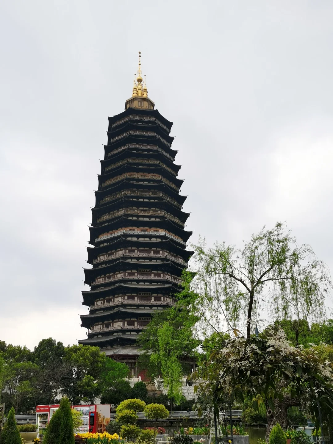 悠闲惬意的常州旅游攻略！✅