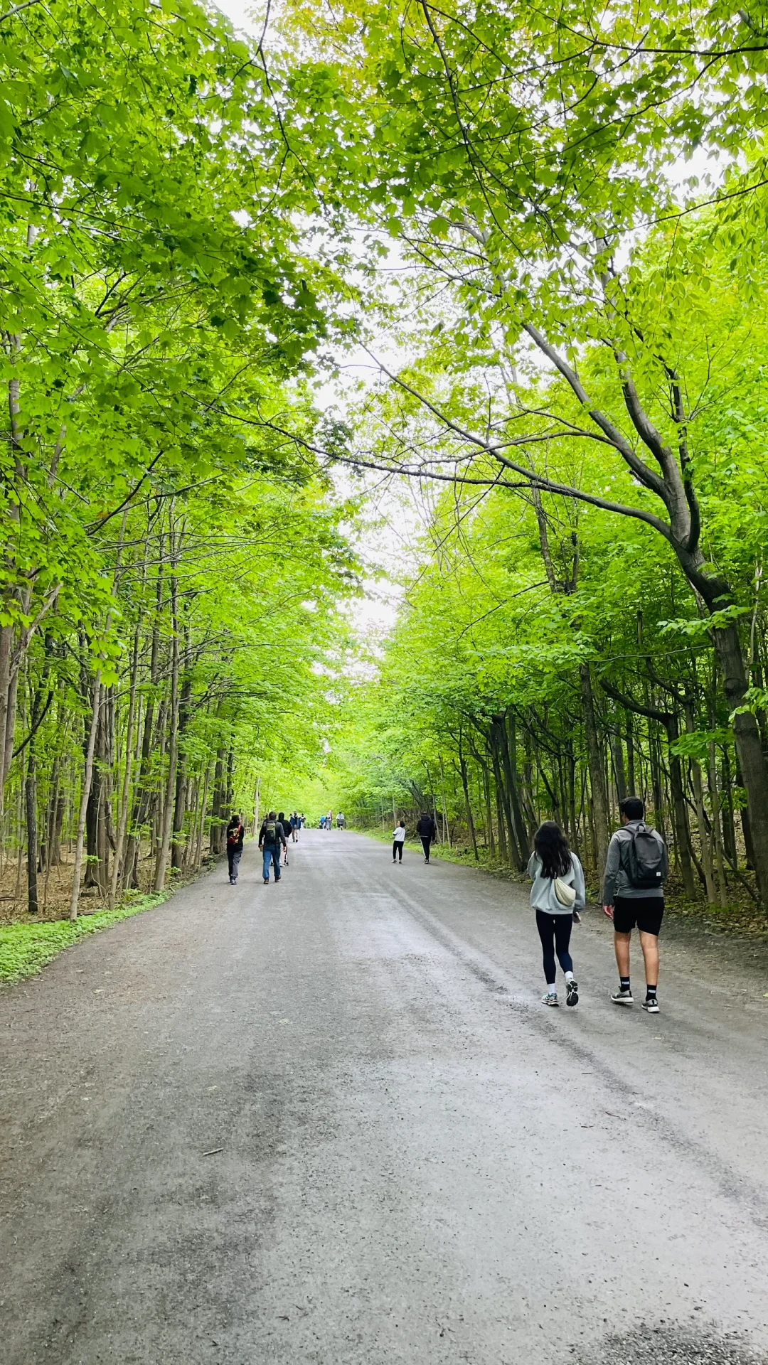 今天游览了Mont St Bruno Natinal parc