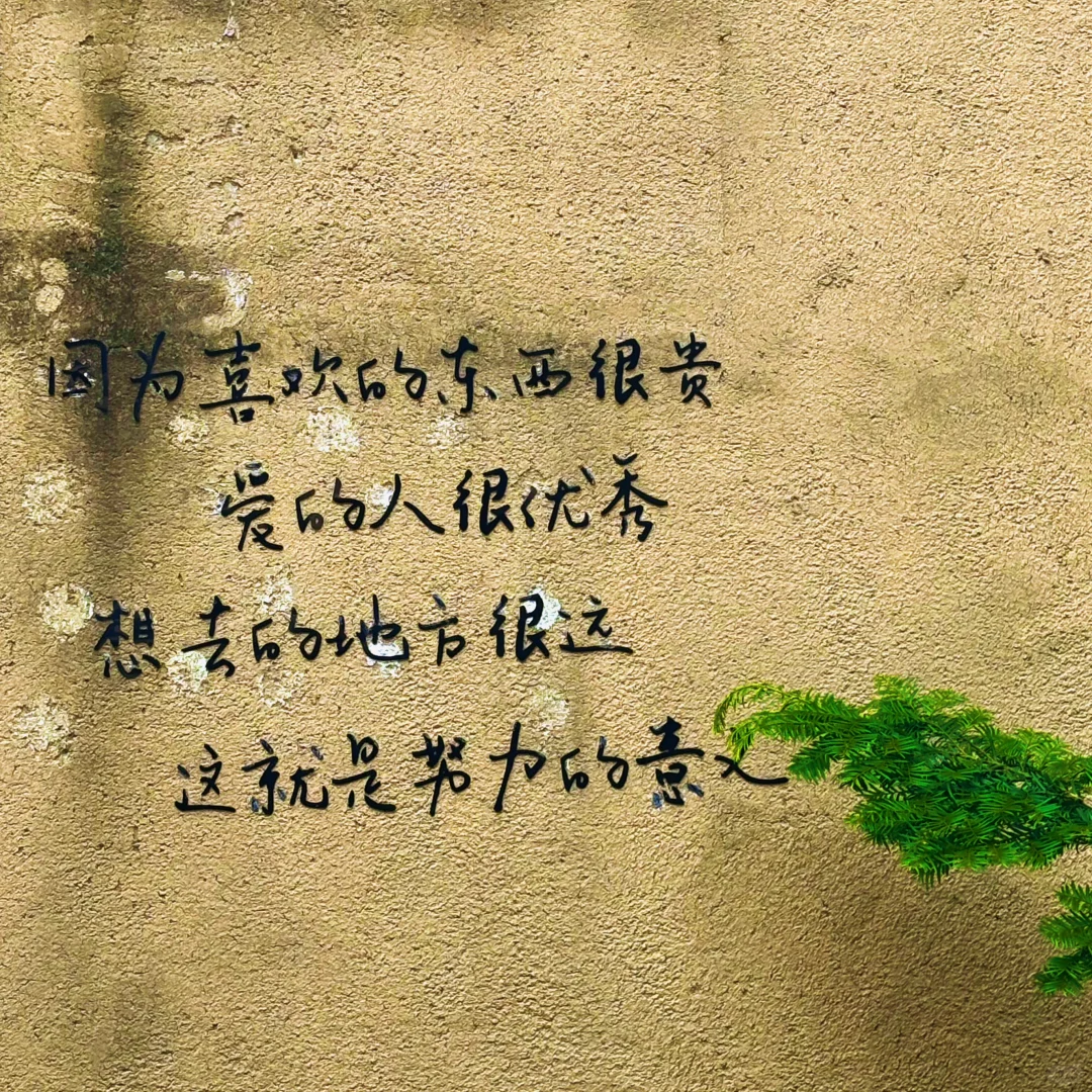 发现了！藏在山里的小众景点！🍃