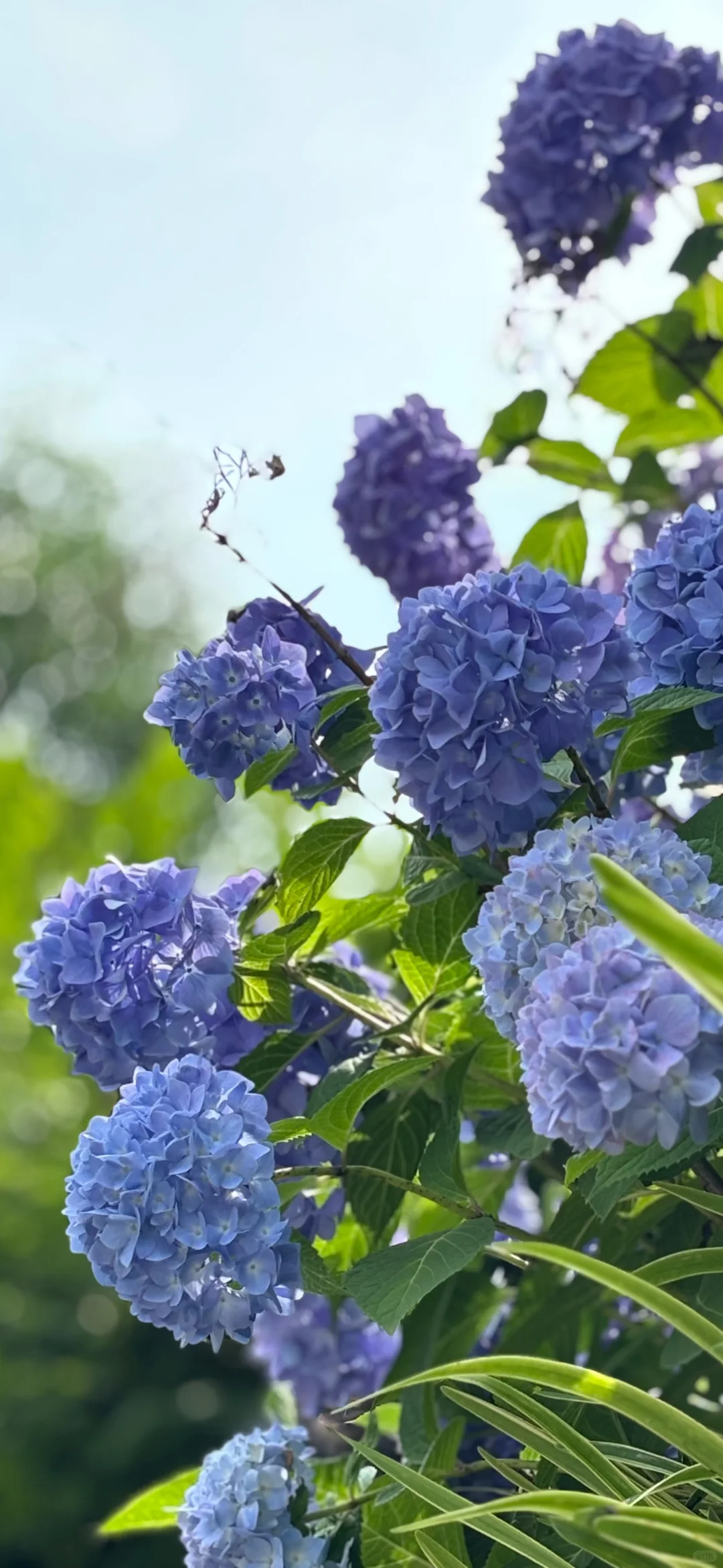 发现了！藏在山里的小众景点！🍃