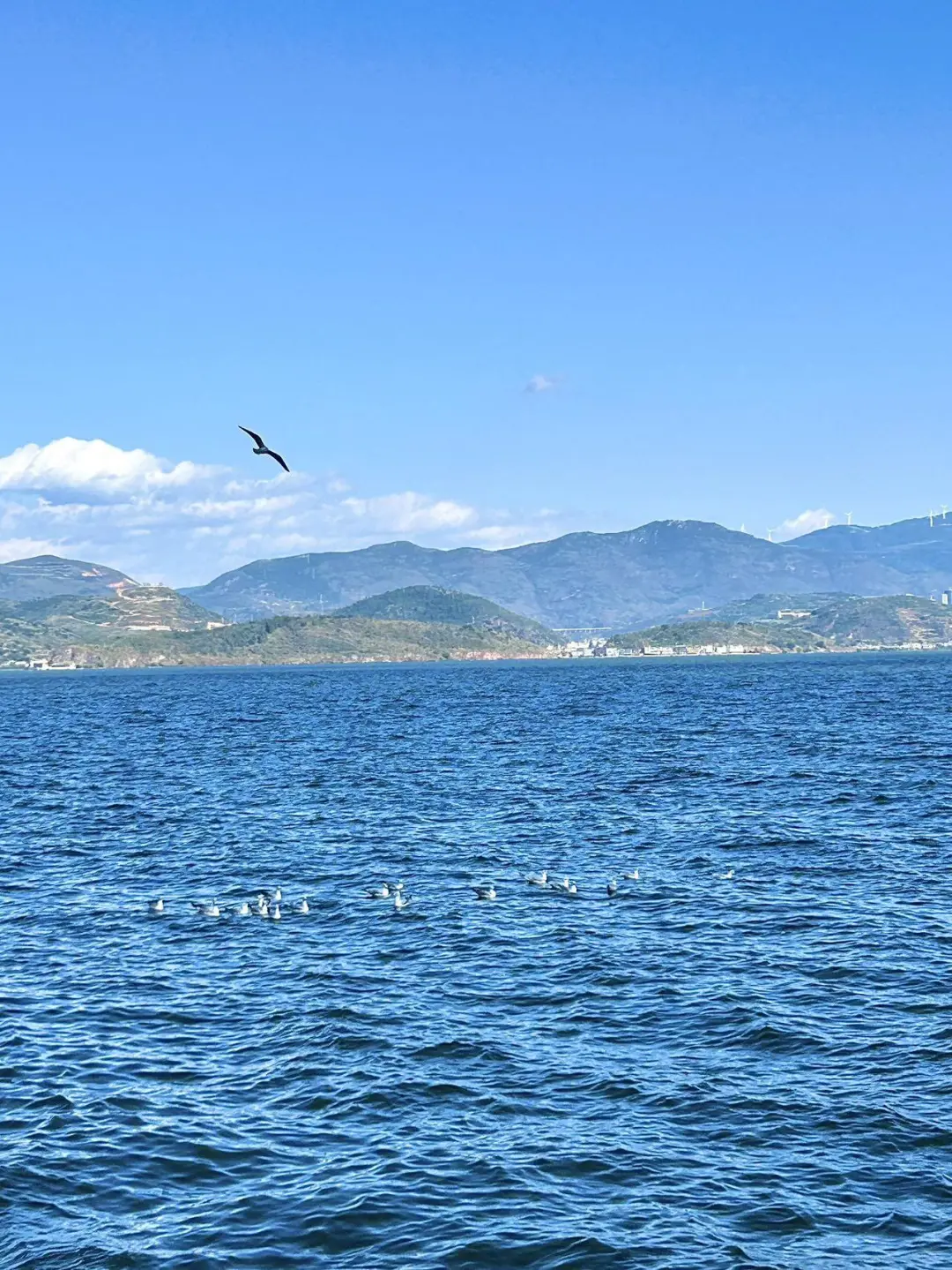 📍5.26大理已回。。我真的😭崩溃了……