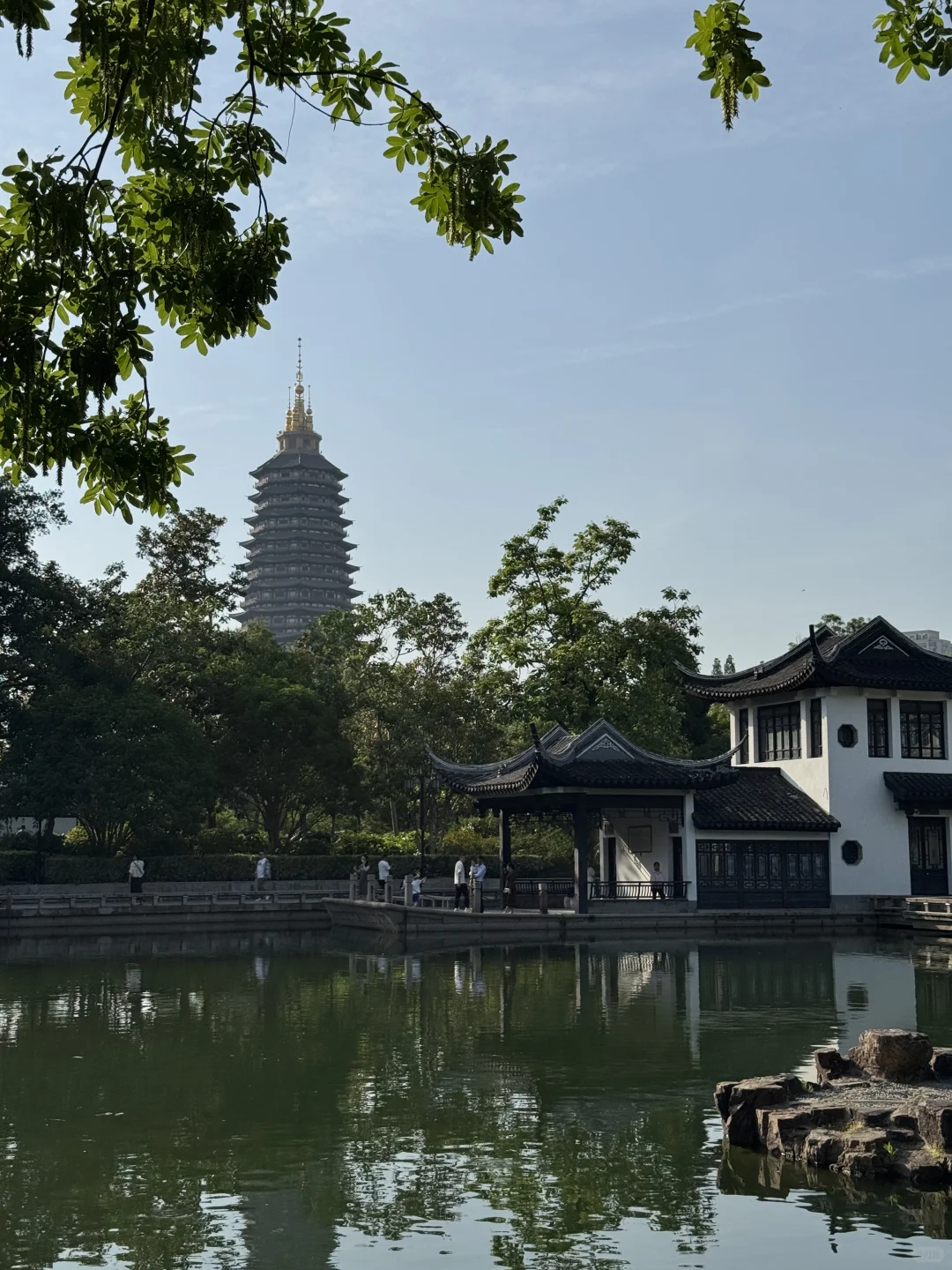 💖五一必去 | 常州红梅公园，美到犯规啦🎉