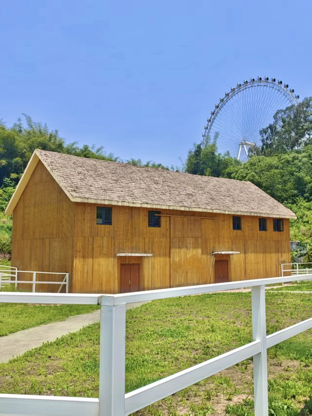 李庄古镇真实体验！看完再决定值不值得去！