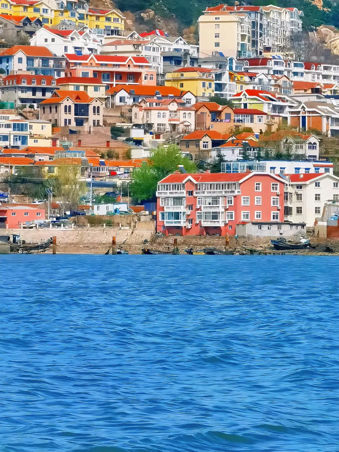 海风轻拂,啤酒飘香,这是属于青岛的夏日记